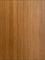 Slab Doors